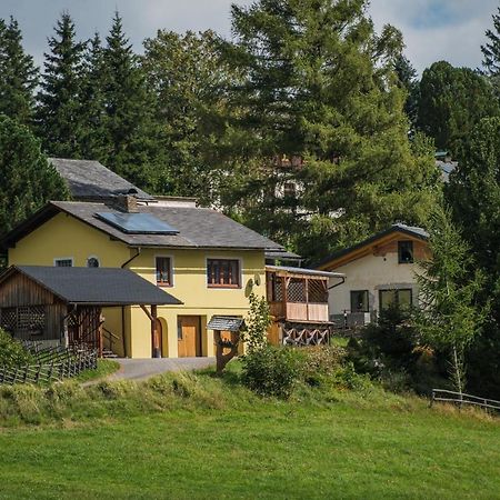 Ferienhaus Seetaler Alpen Obdach エクステリア 写真