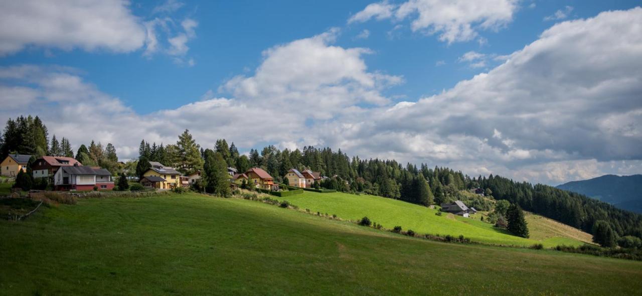 Ferienhaus Seetaler Alpen Obdach エクステリア 写真