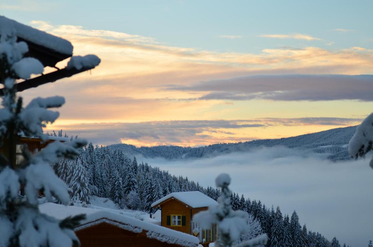 Ferienhaus Seetaler Alpen Obdach エクステリア 写真