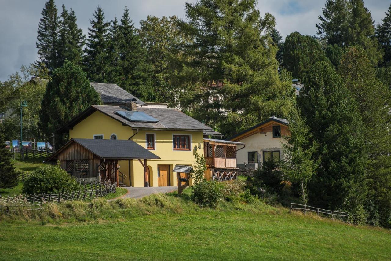 Ferienhaus Seetaler Alpen Obdach エクステリア 写真